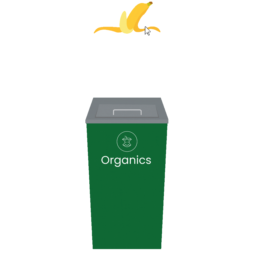 Banana to Proper Bin